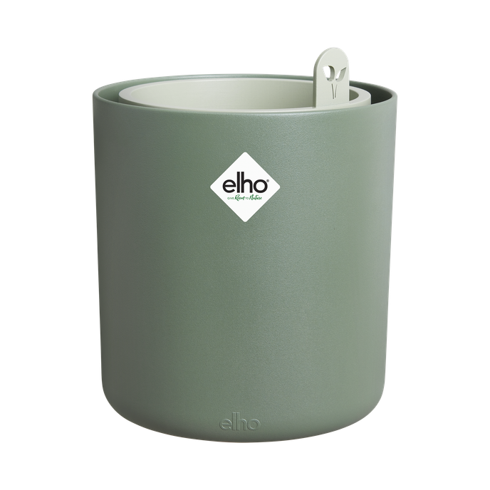 bouncy basil blad groen